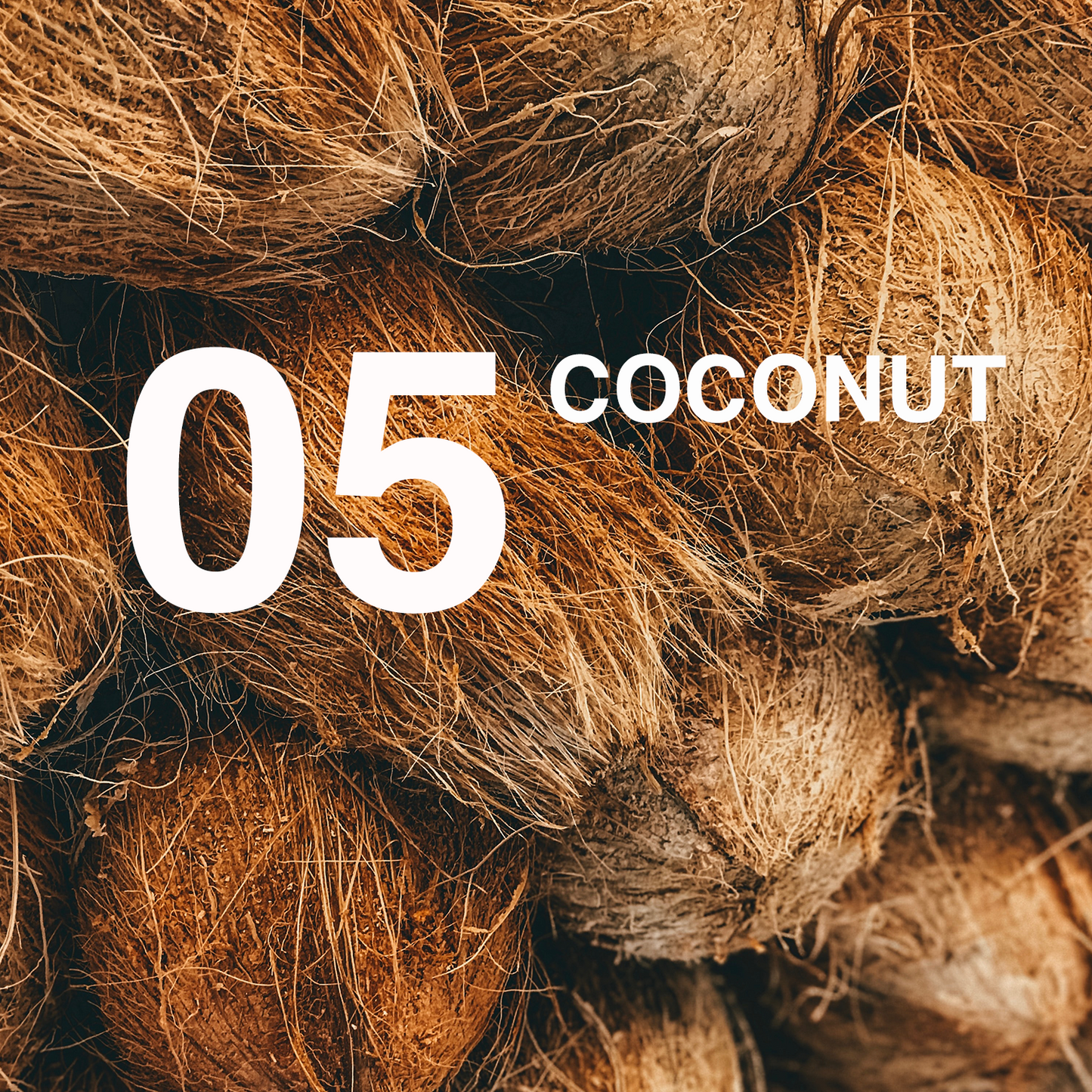 Luxury Coconut Wax Melts | Soy Wax Melts