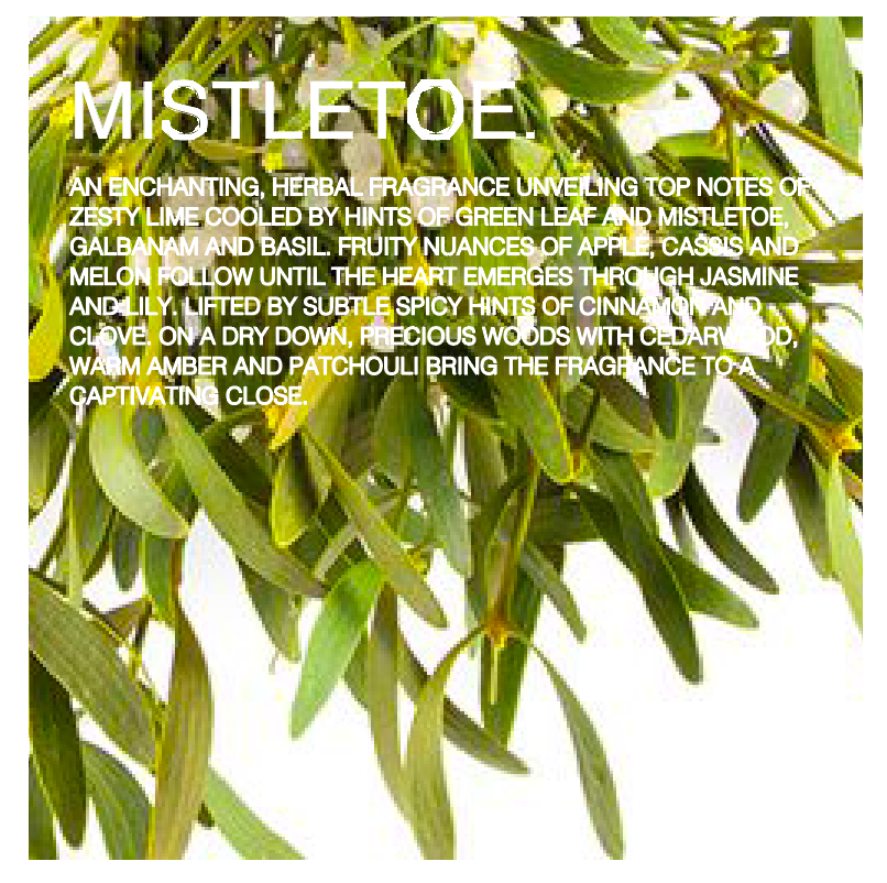 Mistletoe scented candles - green leaf, lime and mistletoe