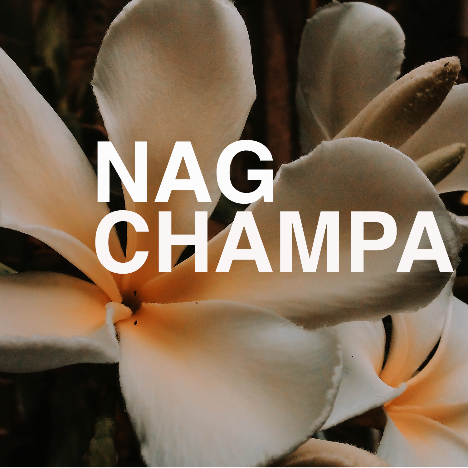 Nag Champa Candles