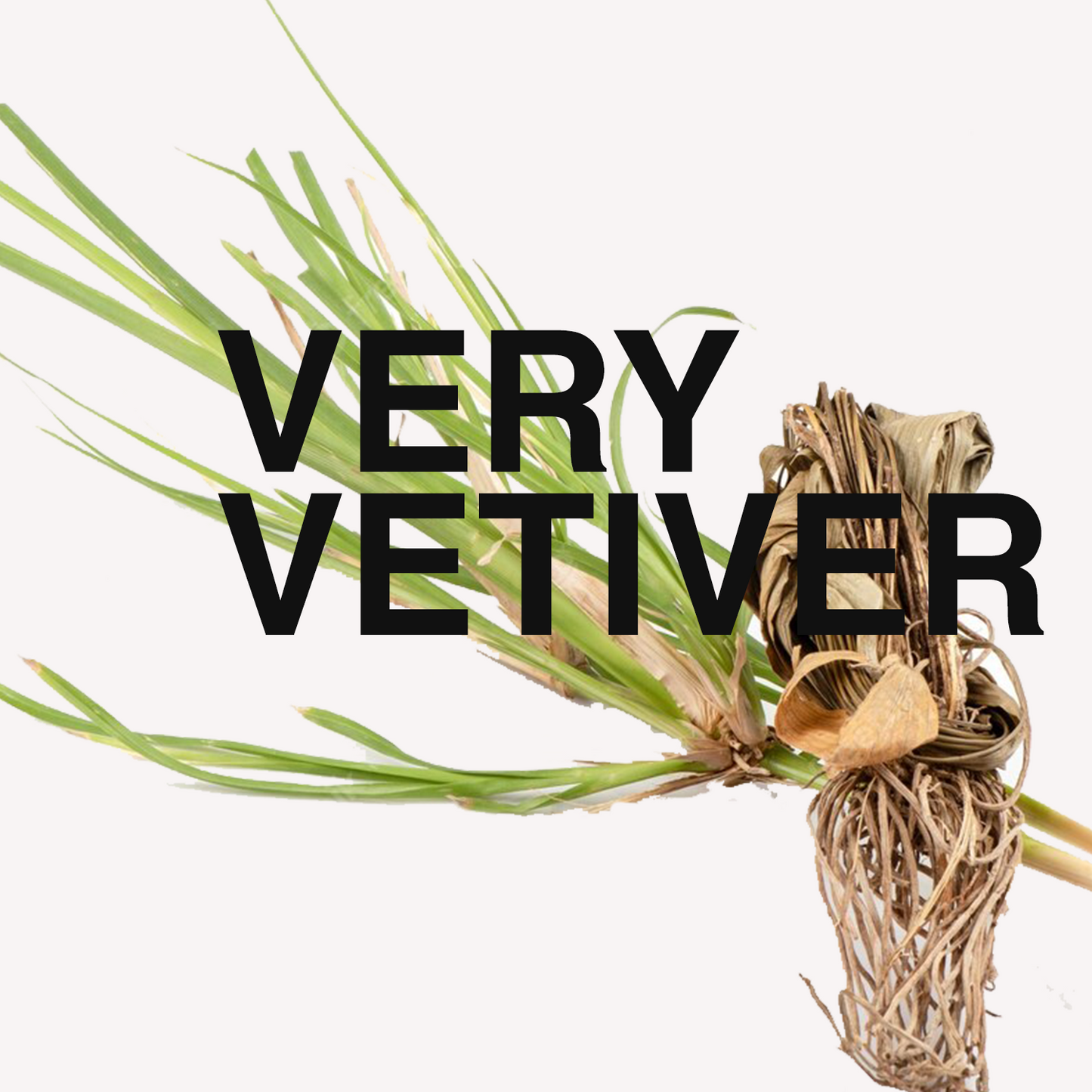 Very vetiver candles - scented soy wax candle in very vertiver a zingy fresh smell to welcome spring and summer